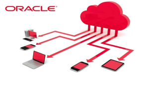 Ảnh chụp màn hình 2024-12-28 101528