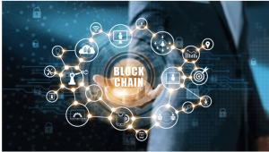 Ảnh chụp màn hình 2024-12-28 102914