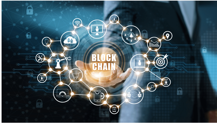 Ảnh chụp màn hình 2024-12-28 102914